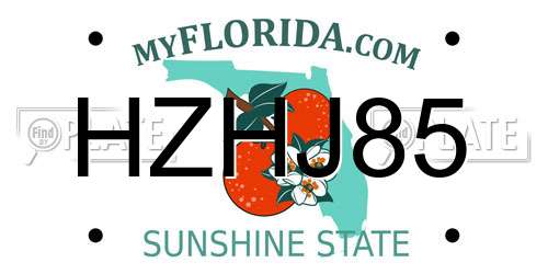 HZHJ85 Florida License Plate