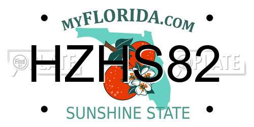 HZHS82 Florida License Plate