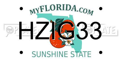 HZIG33 Florida License Plate