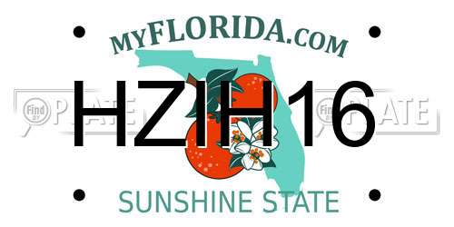 HZIH16 Florida License Plate