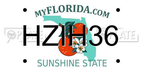 HZIH36 Florida License Plate