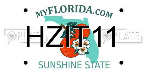 HZIT11 Florida License Plate