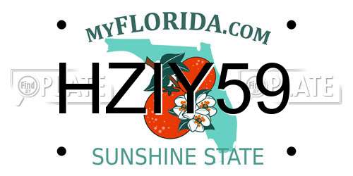 HZIY59 Florida License Plate