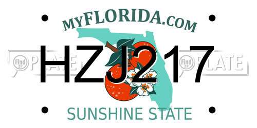 HZJ217 Florida License Plate
