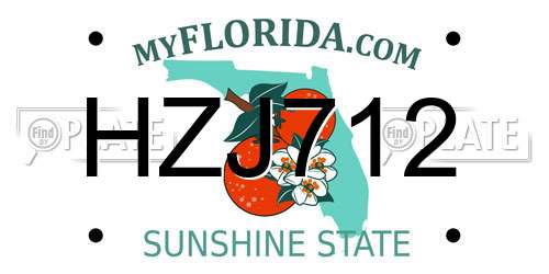HZJ712 Florida License Plate