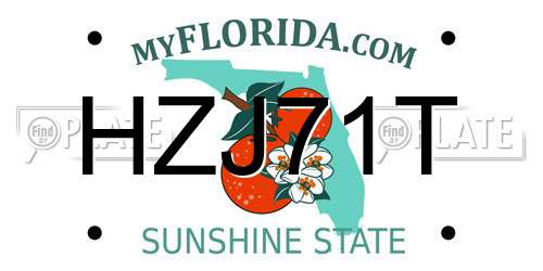 HZJ71T Florida License Plate