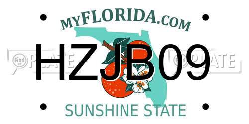 HZJB09 Florida License Plate