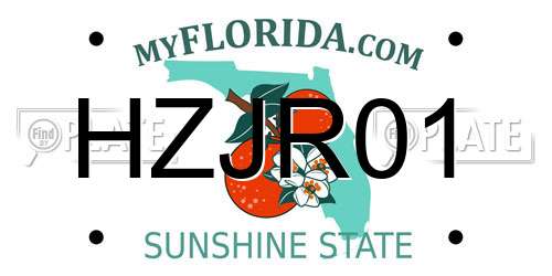 HZJR01 Florida License Plate