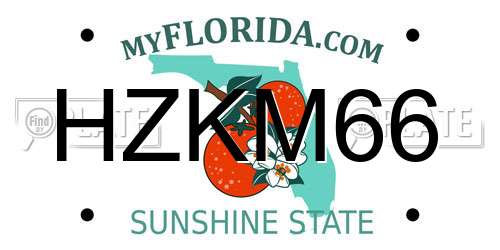 HZKM66 Florida License Plate