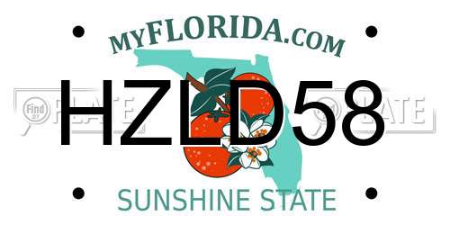 HZLD58 Florida License Plate