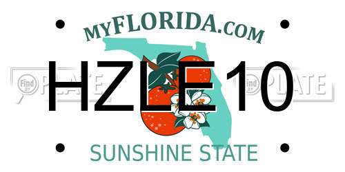 HZLE10 Florida License Plate