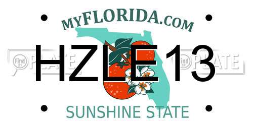 HZLE13 Florida License Plate