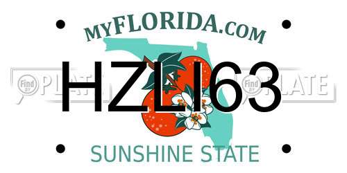 HZLI63 Florida License Plate