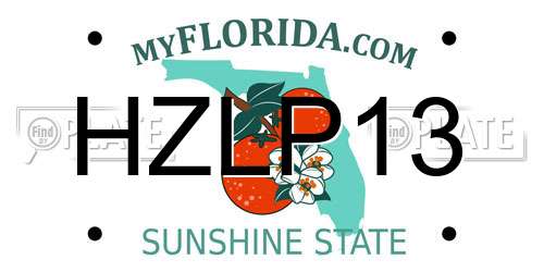 HZLP13 Florida License Plate