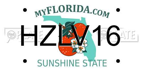 HZLV16 Florida License Plate