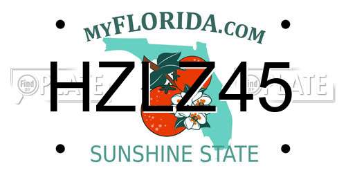 HZLZ45 Florida License Plate