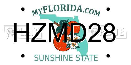 HZMD28 Florida License Plate