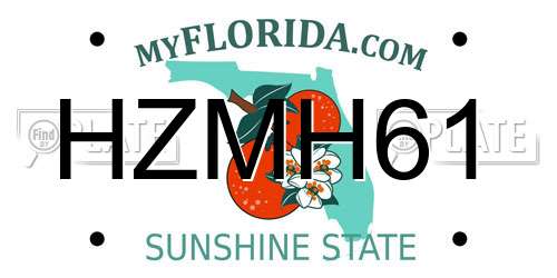 HZMH61 Florida License Plate
