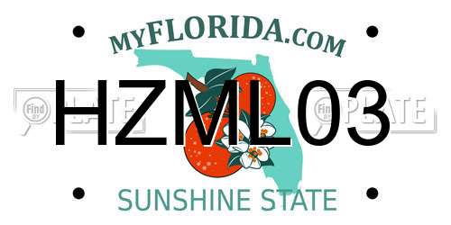 HZML03 Florida License Plate