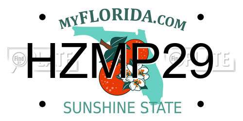 HZMP29 Florida License Plate