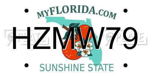 HZMW79 Florida License Plate