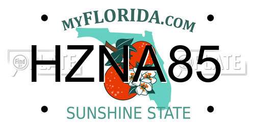 HZNA85 Florida License Plate