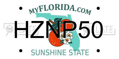 HZNP50 Florida License Plate