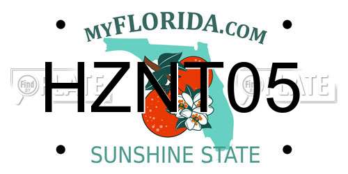 HZNT05 Florida License Plate