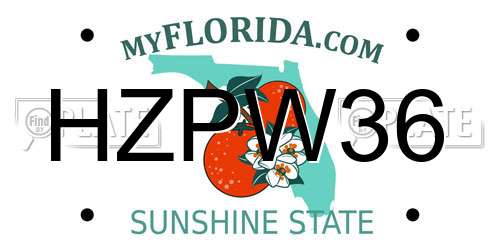 HZPW36 Florida License Plate