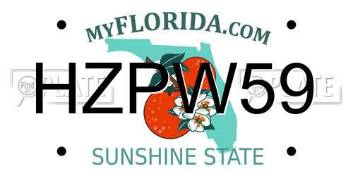 HZPW59 Florida License Plate