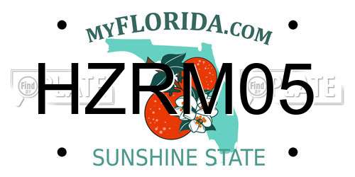 HZRM05 Florida License Plate
