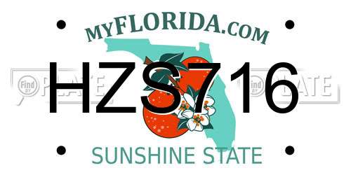 HZS716 Florida License Plate