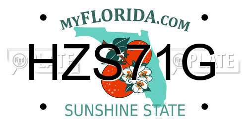 HZS71G Florida License Plate
