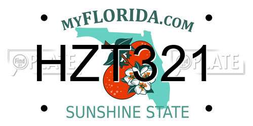 HZT321 Florida License Plate