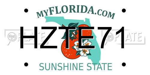 HZTE71 Florida License Plate