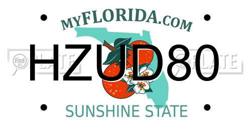 HZUD80 Florida License Plate