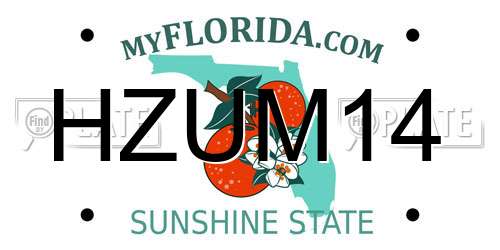 HZUM14 Florida License Plate
