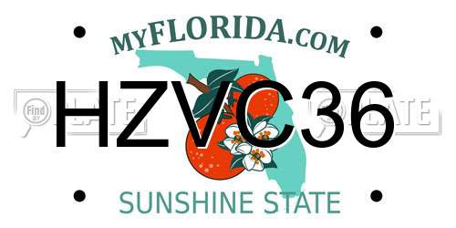 HZVC36 Florida License Plate