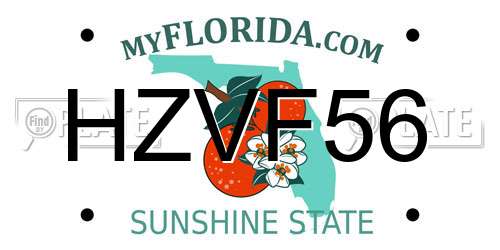 HZVF56 Florida License Plate