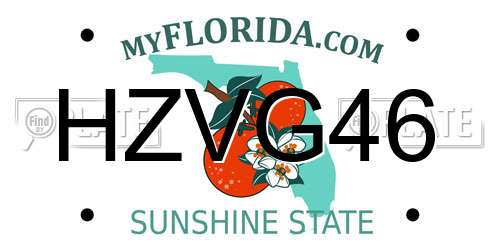 HZVG46 Florida License Plate