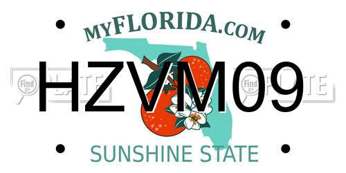 HZVM09 Florida License Plate