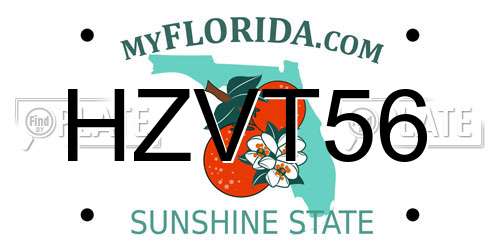 HZVT56 Florida License Plate