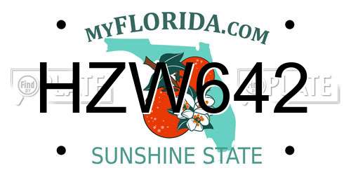 HZW642 Florida License Plate