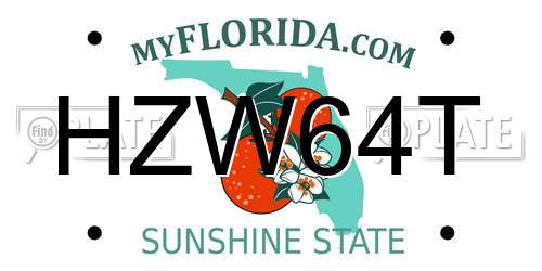 HZW64T Florida License Plate