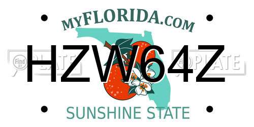 HZW64Z Florida License Plate