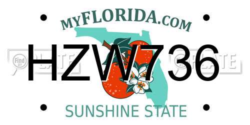 HZW736 Florida License Plate