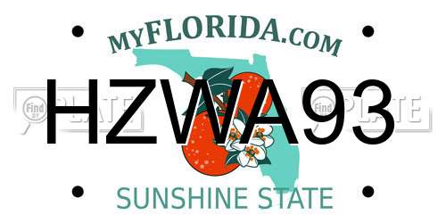 HZWA93 Florida License Plate