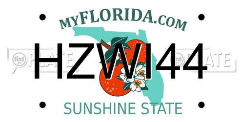 HZWI44 Florida License Plate