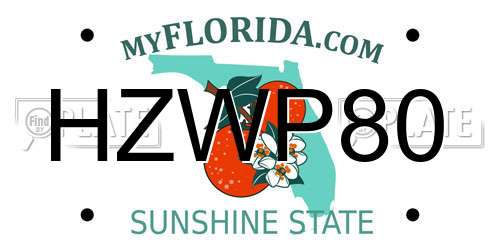 HZWP80 Florida License Plate