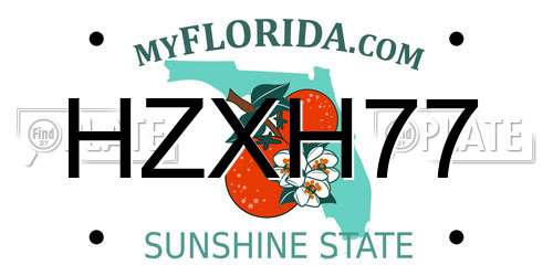 HZXH77 Florida License Plate
